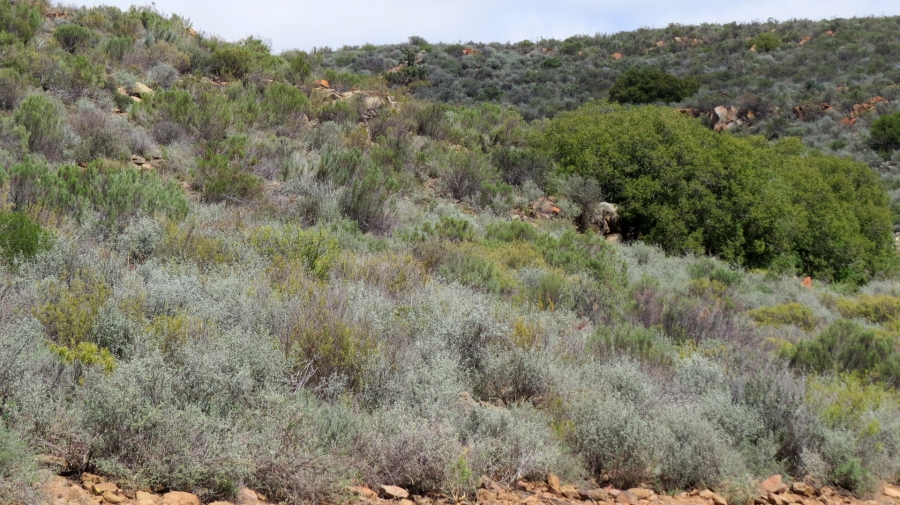 Commercial Property for Sale in Worcester Rural Western Cape